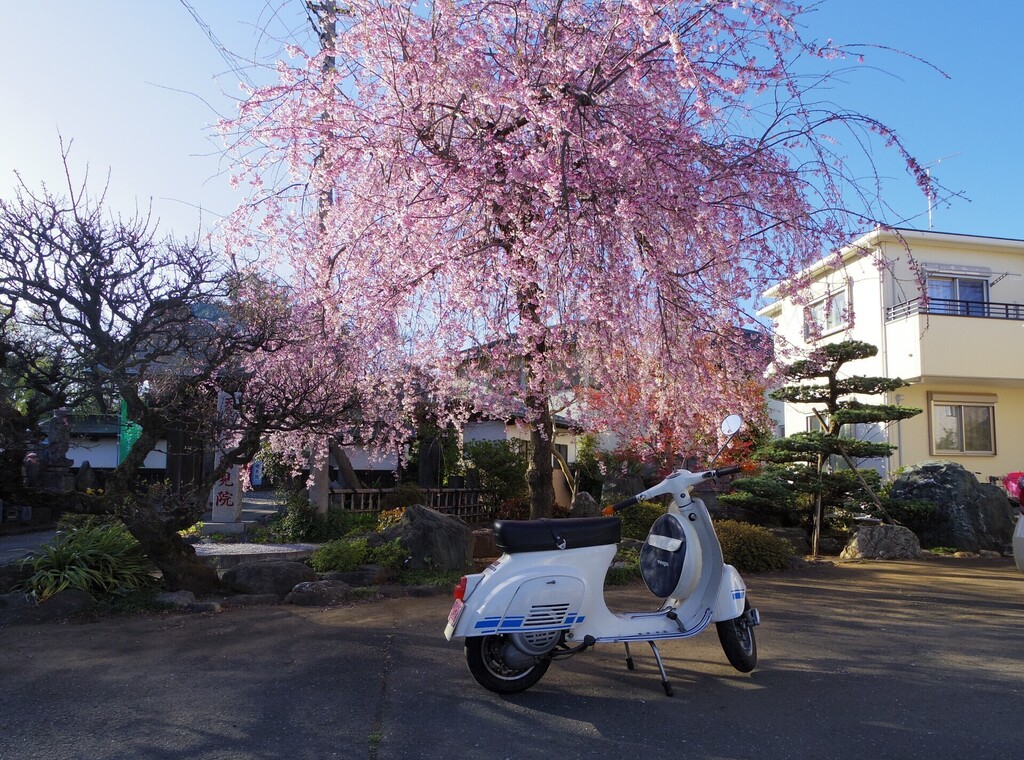 IMGP0190.JPG