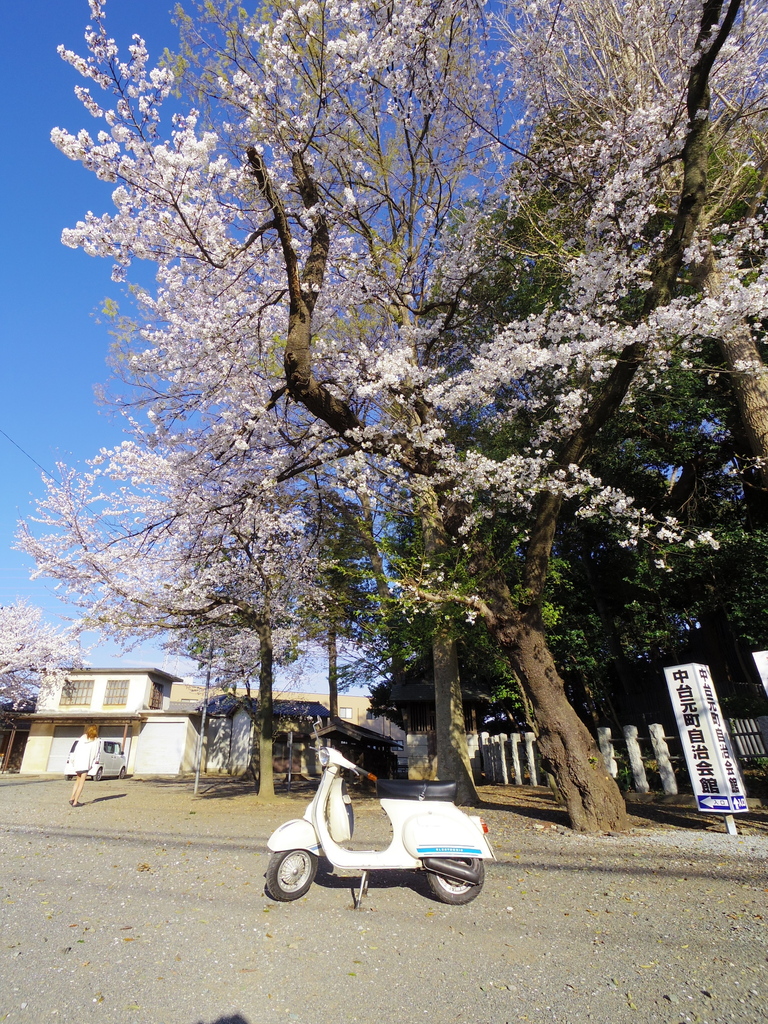 IMGP0195.JPG