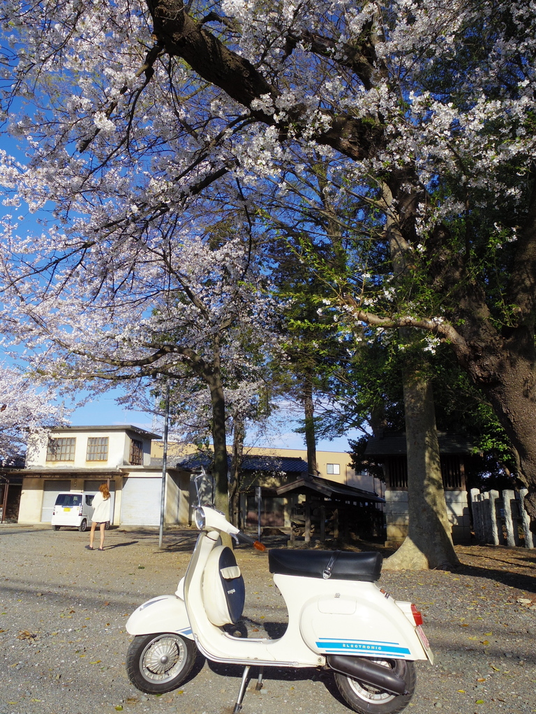 IMGP0198.JPG