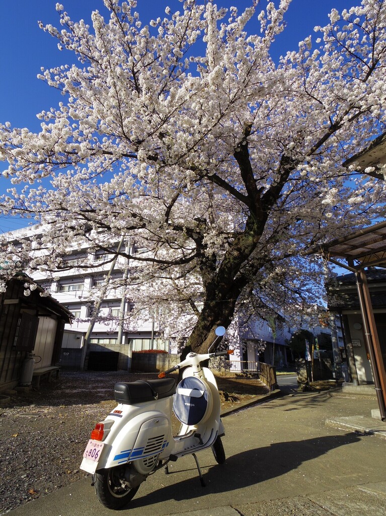 IMGP0199.JPG