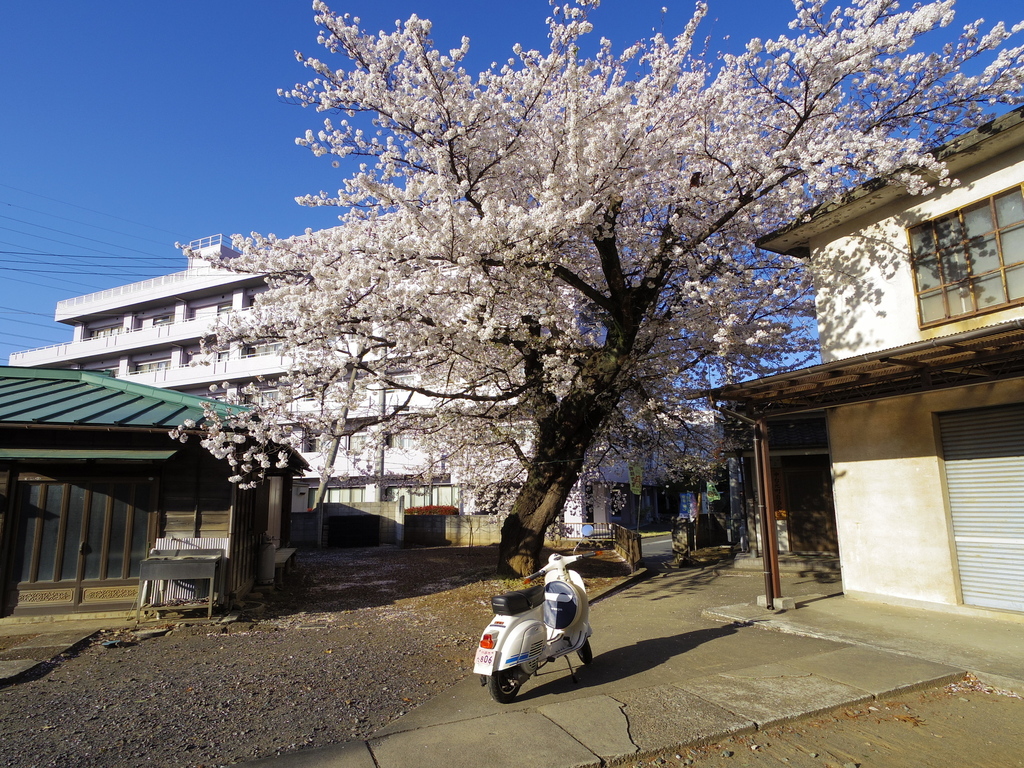 IMGP0201.JPG