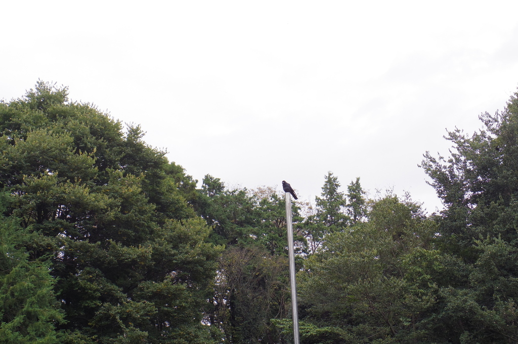 IMGP1294.JPG