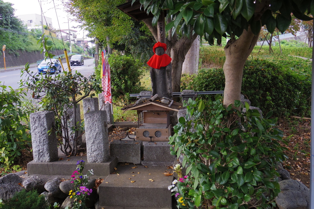 IMGP1297.JPG