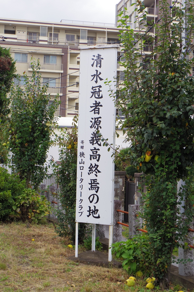 IMGP1300.JPG