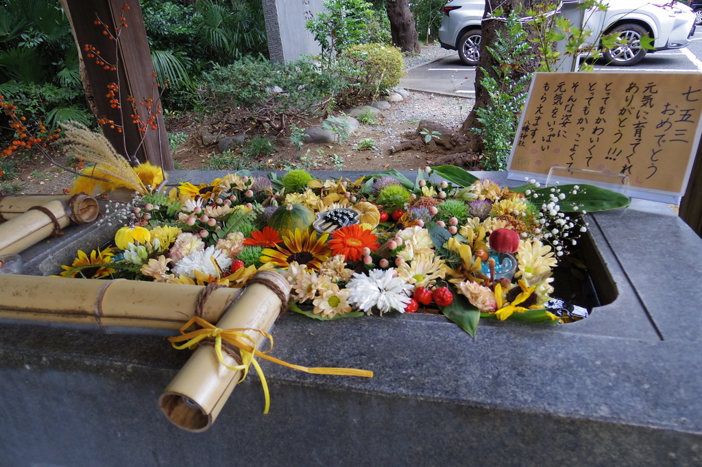 IMGP1303.JPG