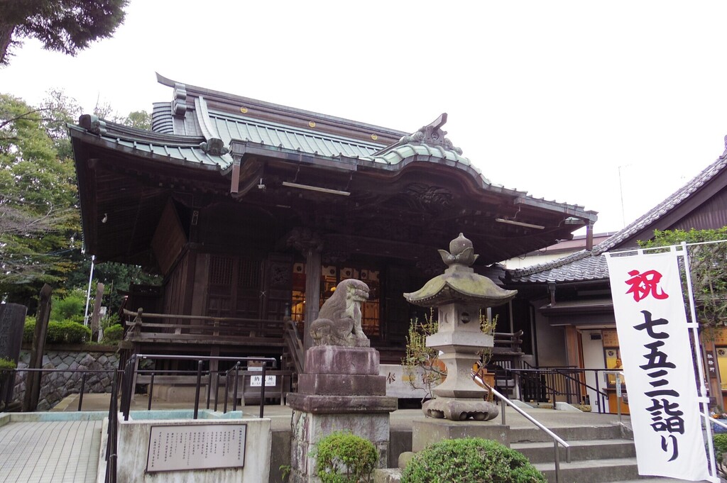 IMGP1306.JPG