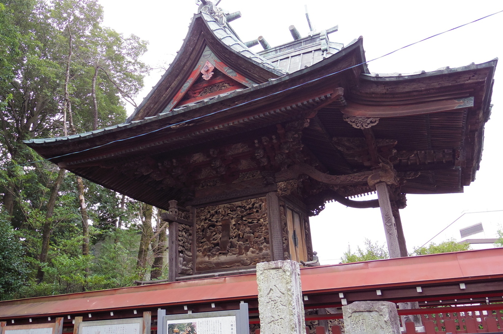 IMGP1309.JPG