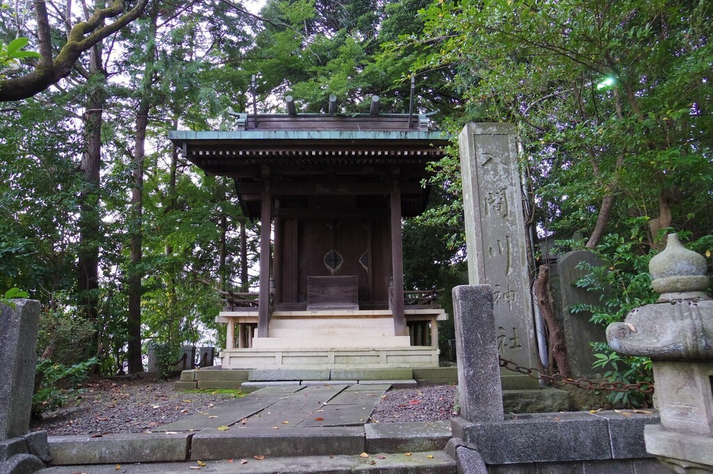 IMGP1313.JPG