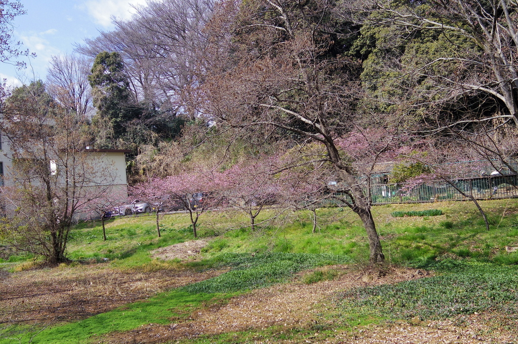 IMGP1483.JPG