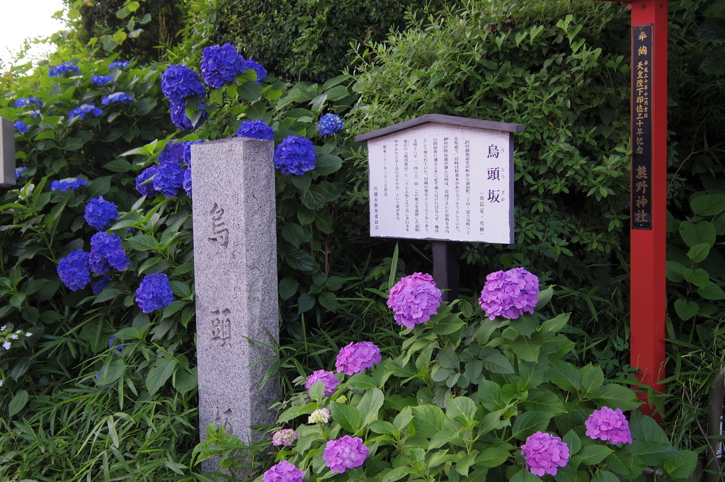 IMGP1588.JPG
