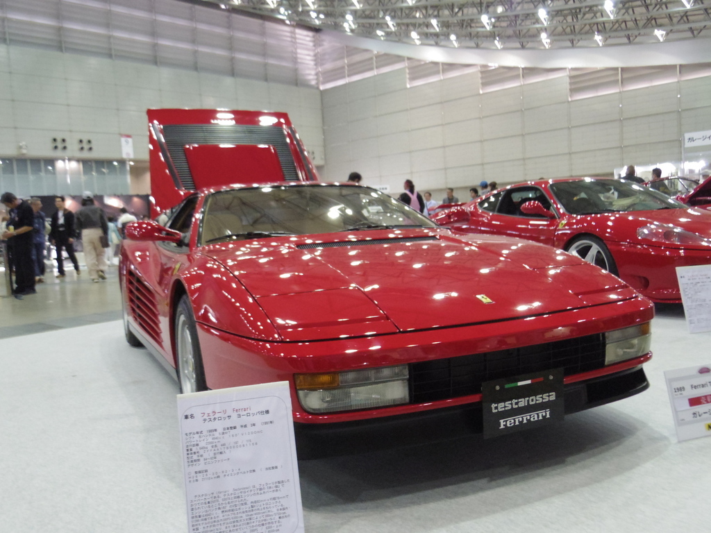 IMGP5438.JPG