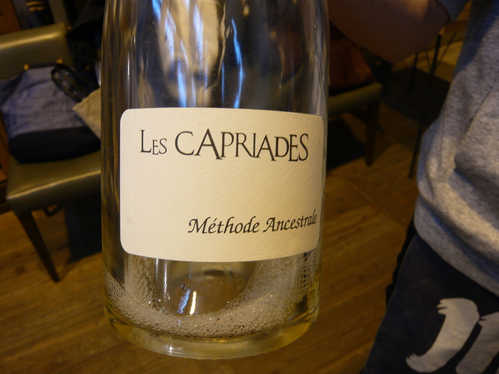 P1030106.JPG