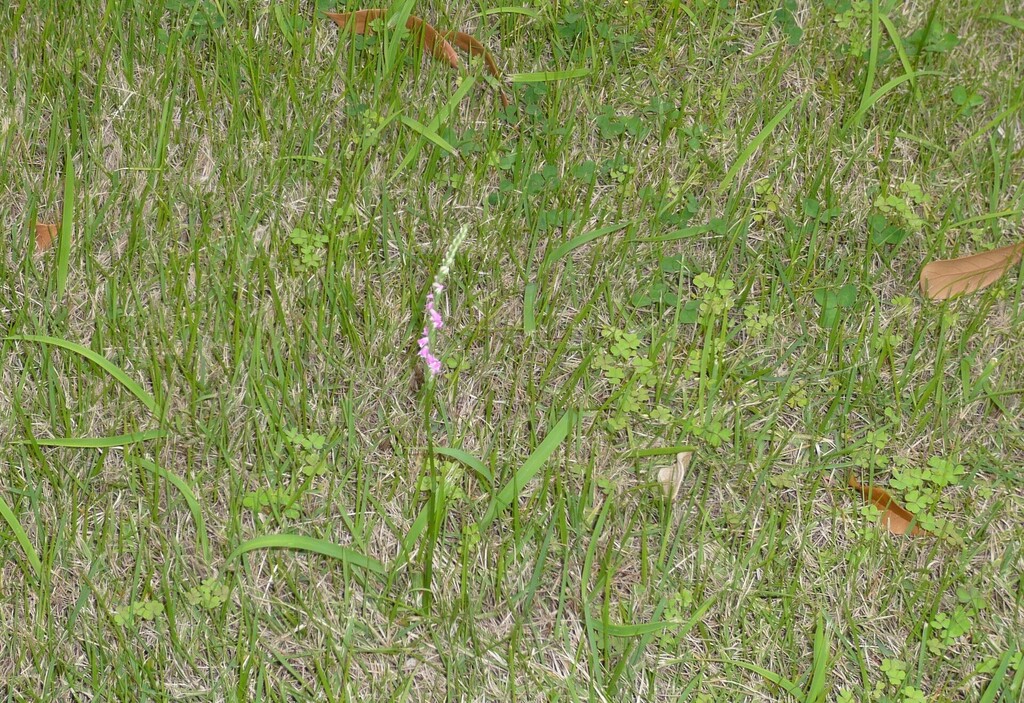 P1030161.JPG