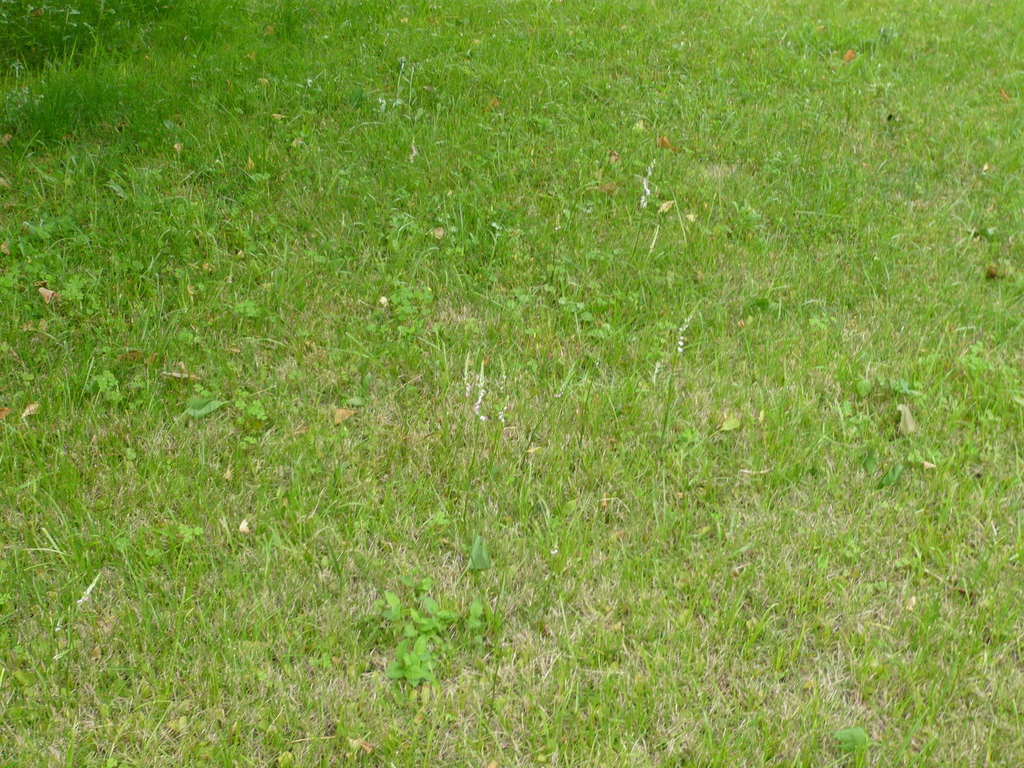 P1030163.JPG